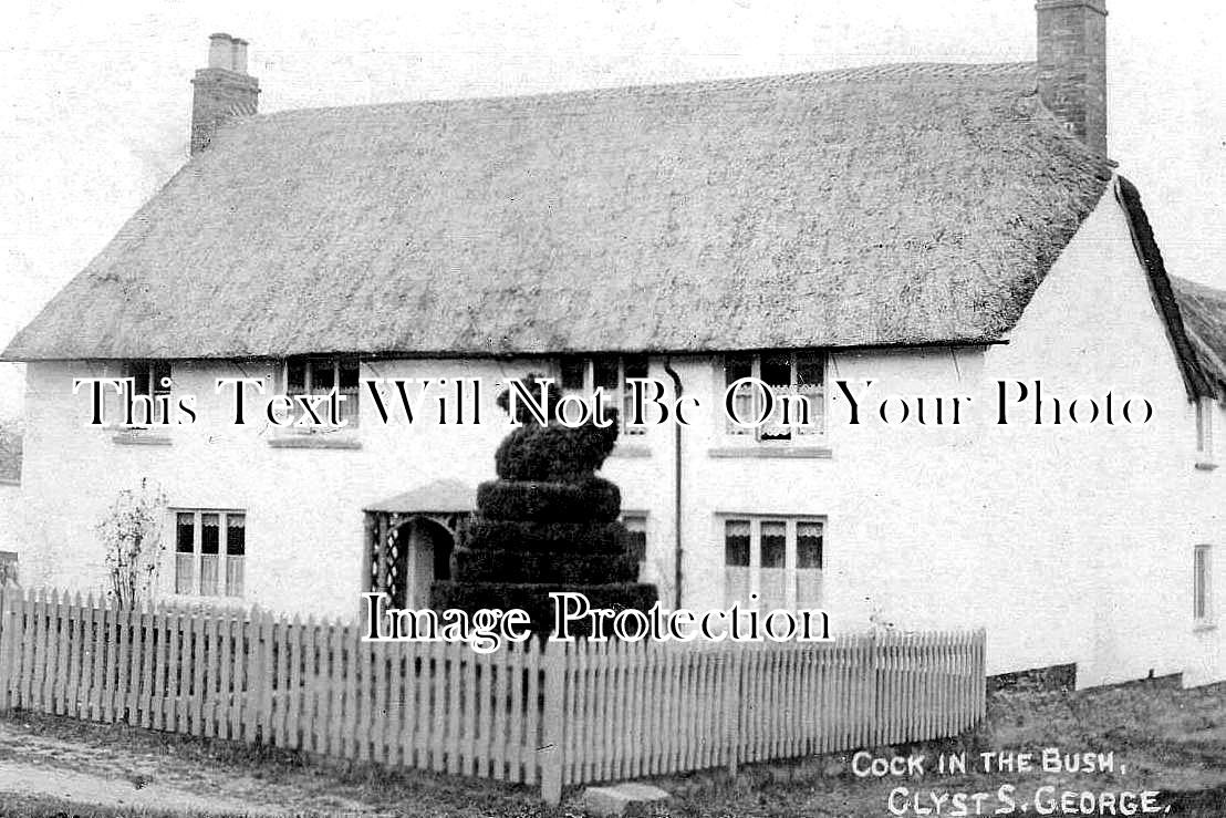 DE 4515 - Cock In The Bush, Clyst St George, Devon