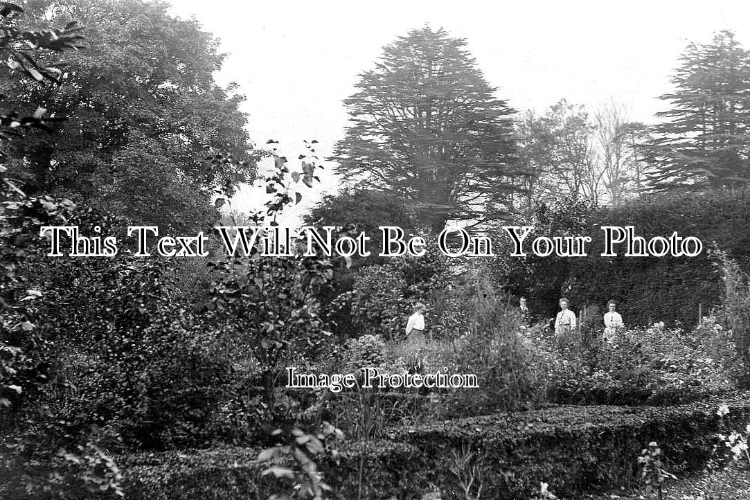 HA 5796 - The Gardens At Bighton Rectory, Hampshire