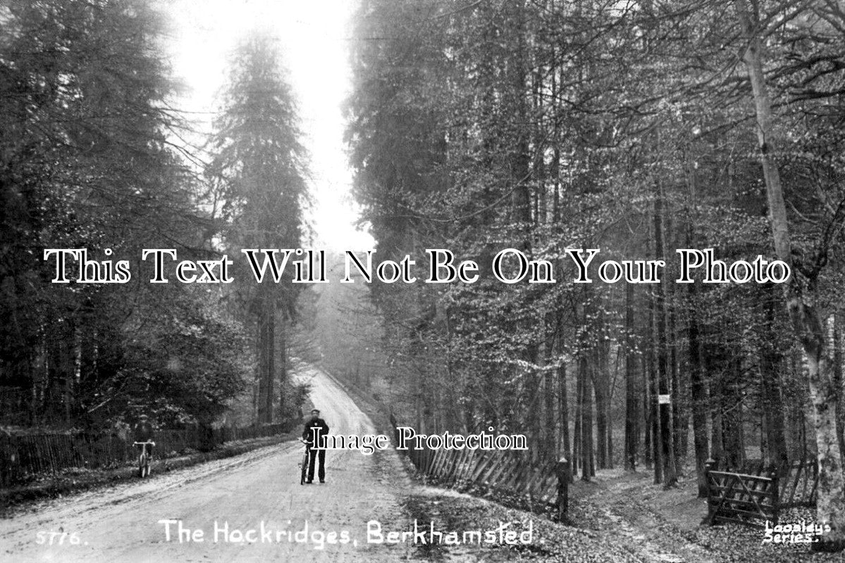 HF 2558 - The Hockridges, Berkhamsted, Hertfordshire c1910