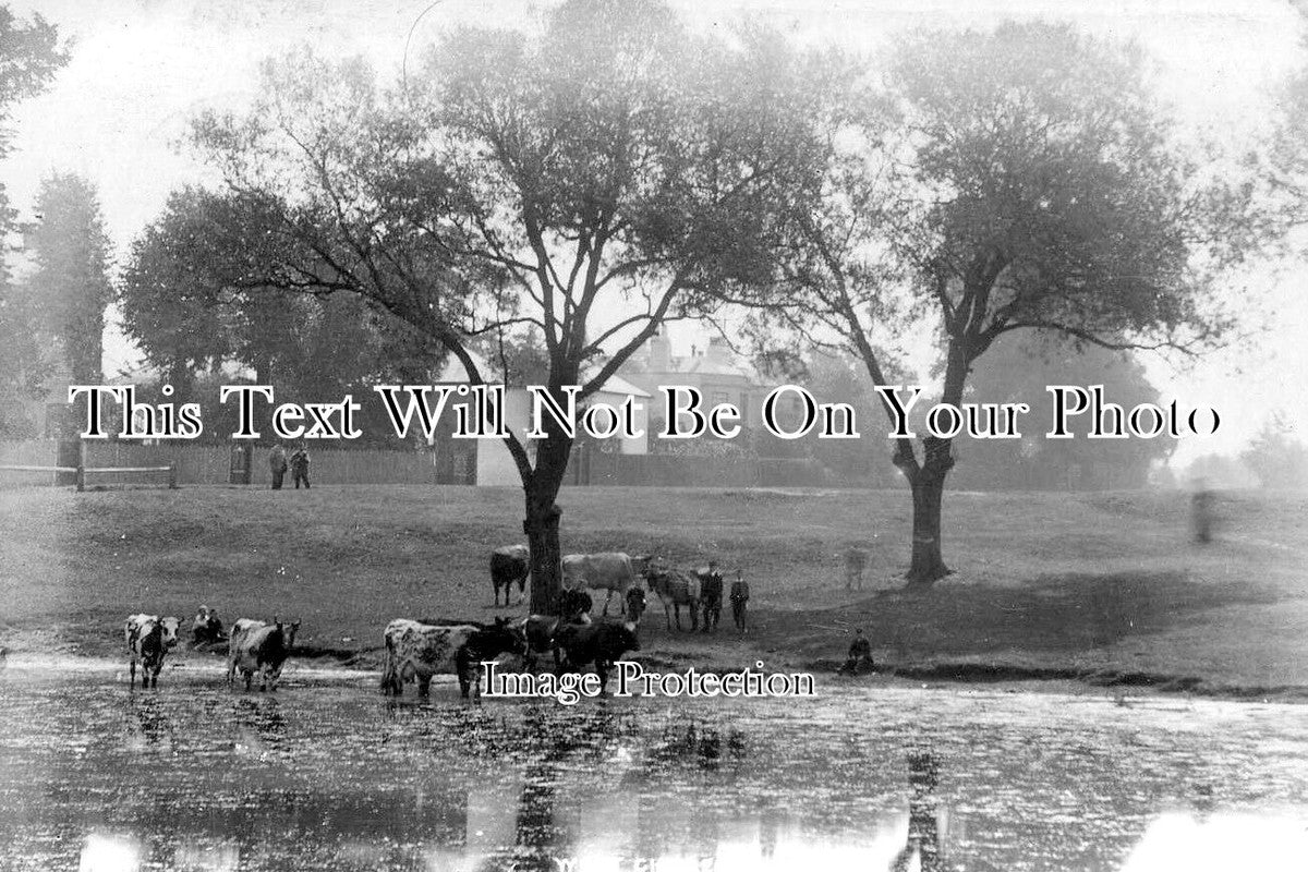 KE 6363 - West Chislehurst, Kent