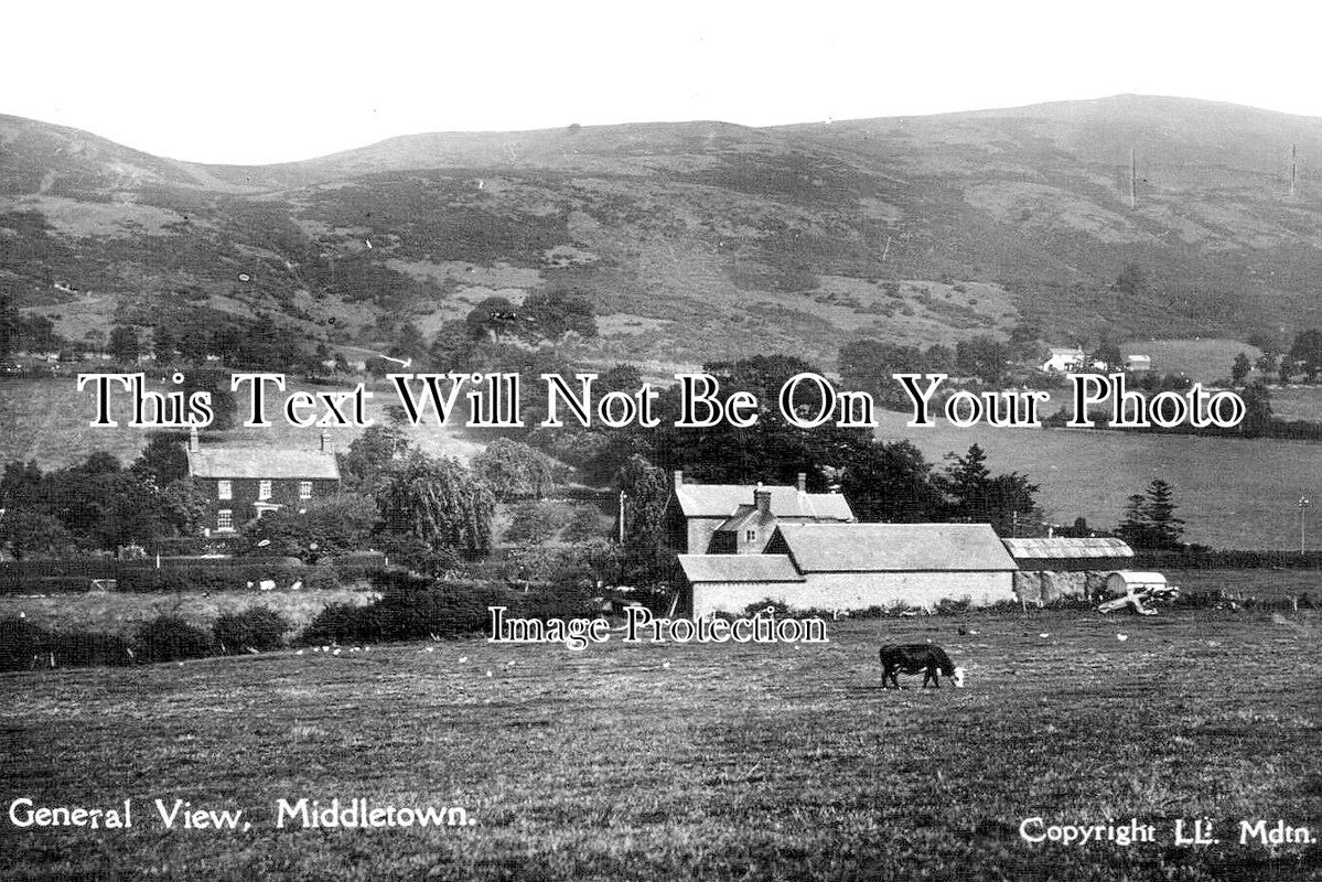 WL 3139 - Middletown, Wales