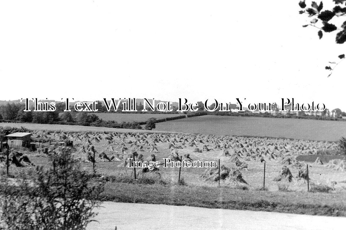 WL 3212 - Harvest At Redlands Road, Penarth, Wales