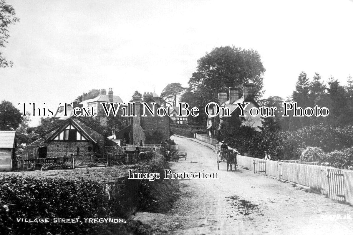 WL 3544 - Village Street, Tregynon, Wales c1928