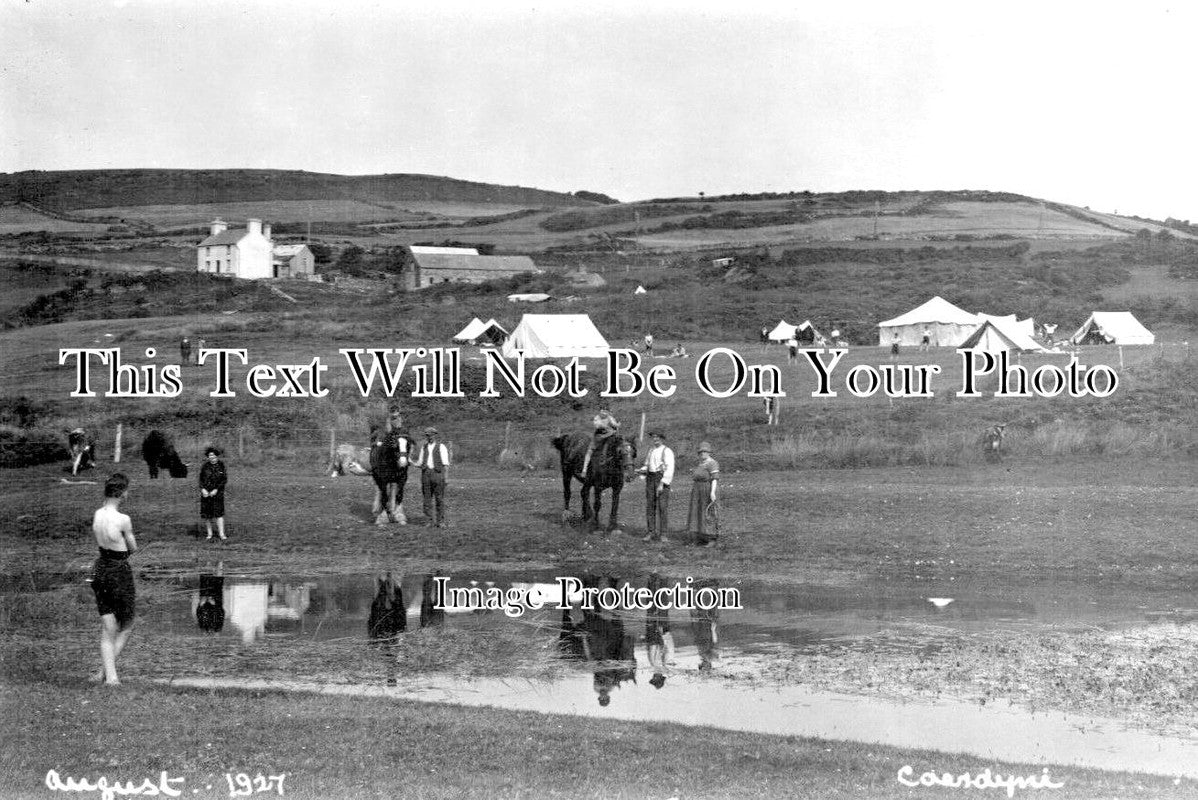 WL 3574 - Caer Dyni Near Criccieth, Wales