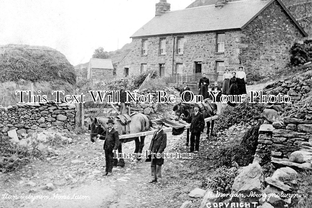 WL 3625 - LLancelynum, Wales c1907