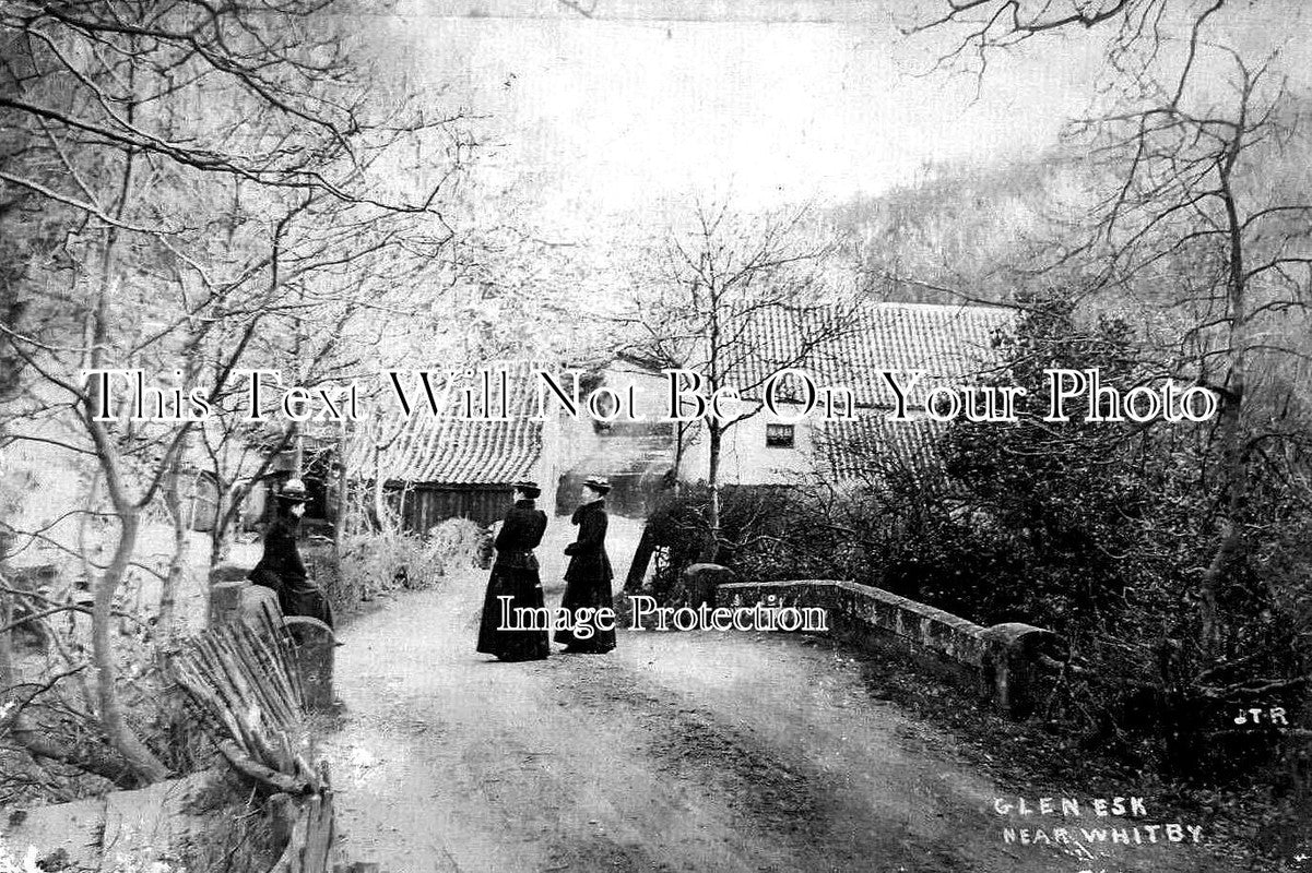 YO 13741 - Glen Esk Near Whitby, Yorkshire