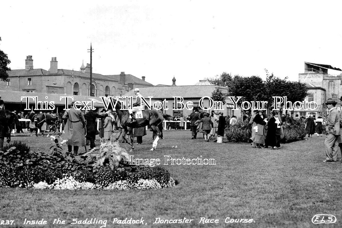 YO 13775 - Saddling Paddock, Doncaster Race Course, Yorkshire