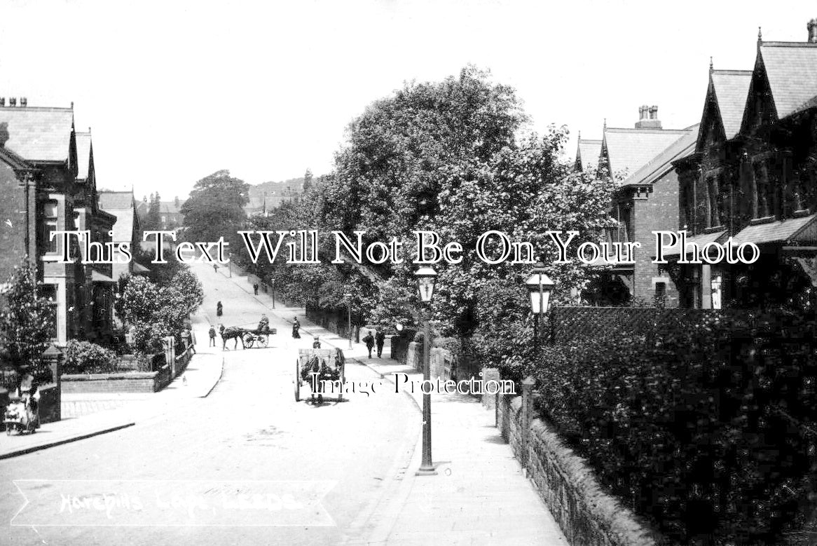 YO 14134 - Harehill Lane, Leeds, Yorkshire c1905
