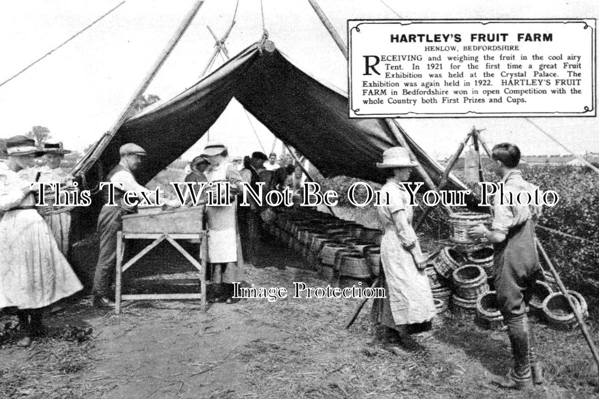 BF 1024 - Hartleys Fruit Farm, Henlow, Bedfordshire