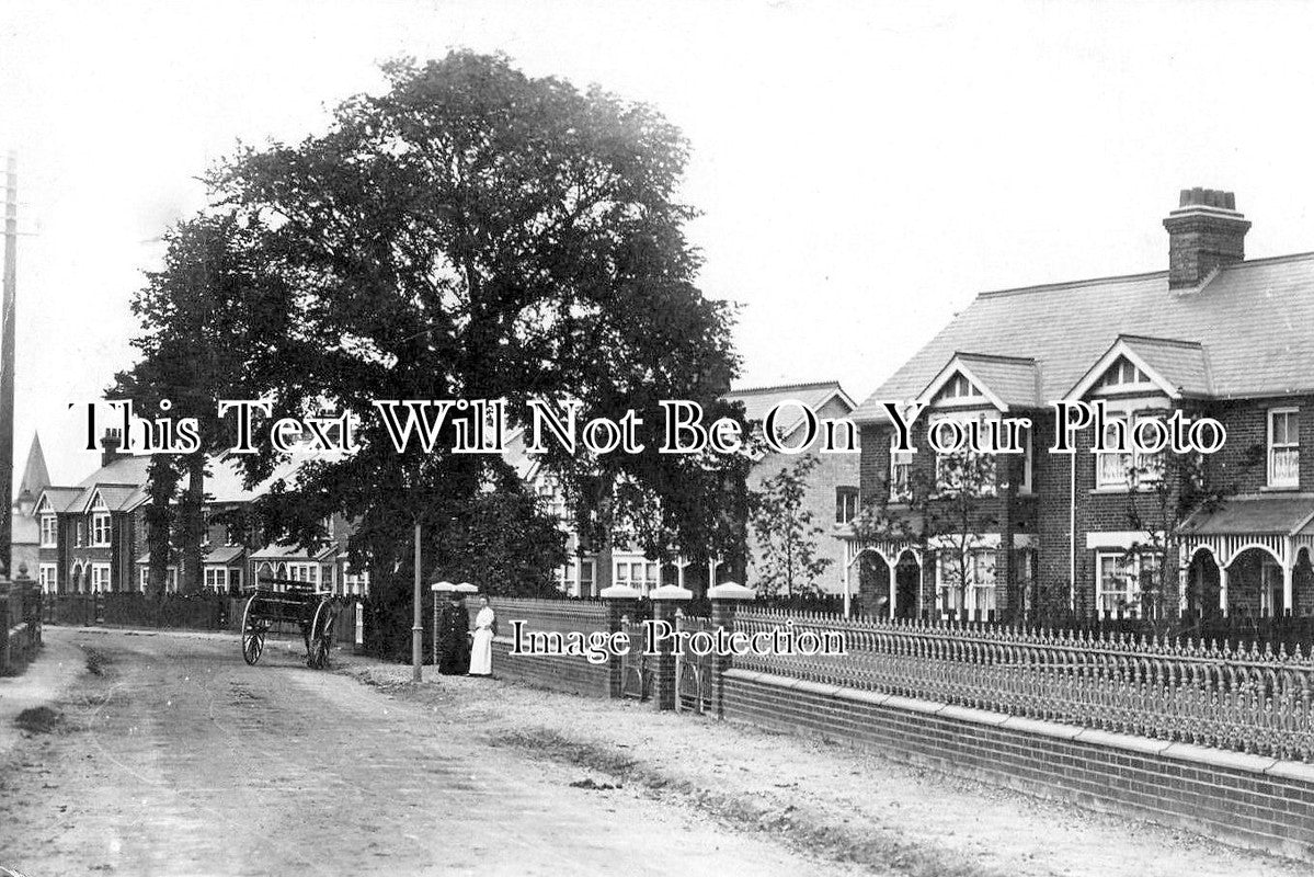 BF 1665 - Drove Road, Biggleswade, Bedfordshire c1910