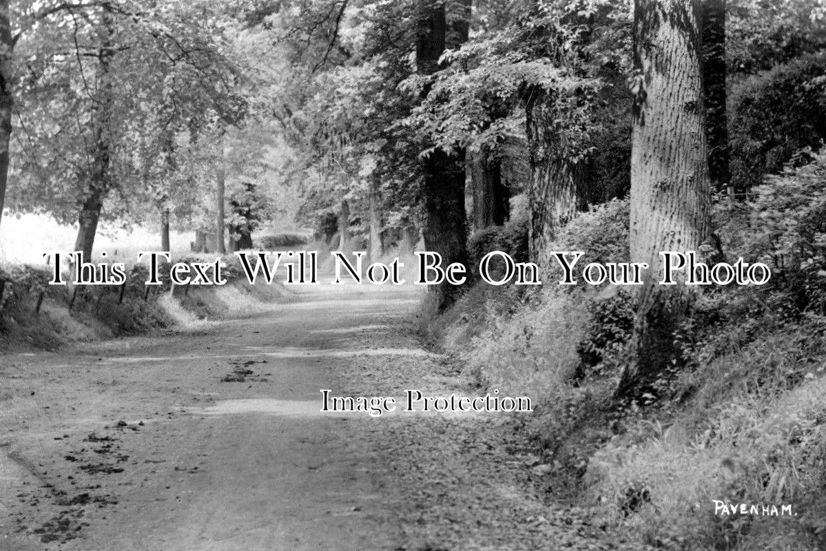 BF 337 - Pavenham Village, Bedfordshire c1909