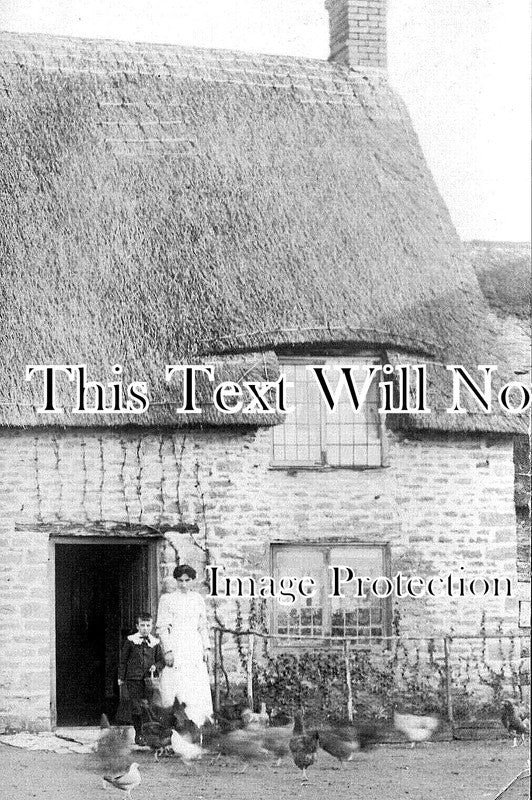 BF 901 - Bottom House Farm Yard, Odell, Bedfordshire