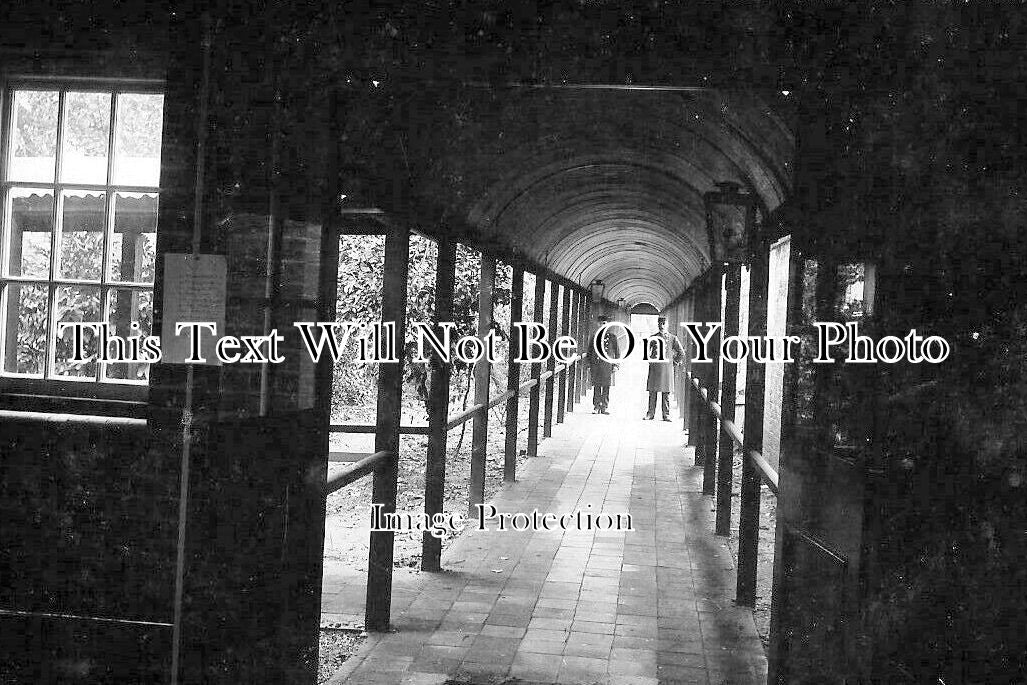 BK 1696 - University Of Reading, Berkshire