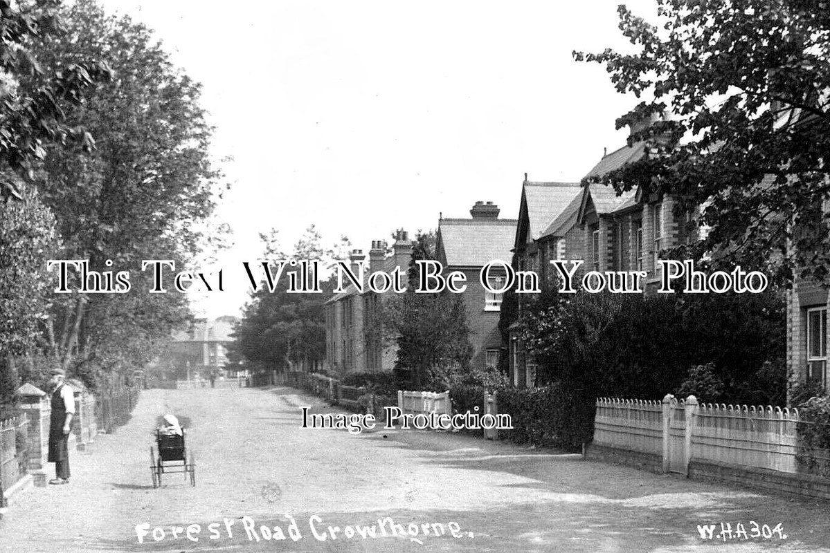 BK 1702 - Forest Road, Crowthorne, Berkshire c1912