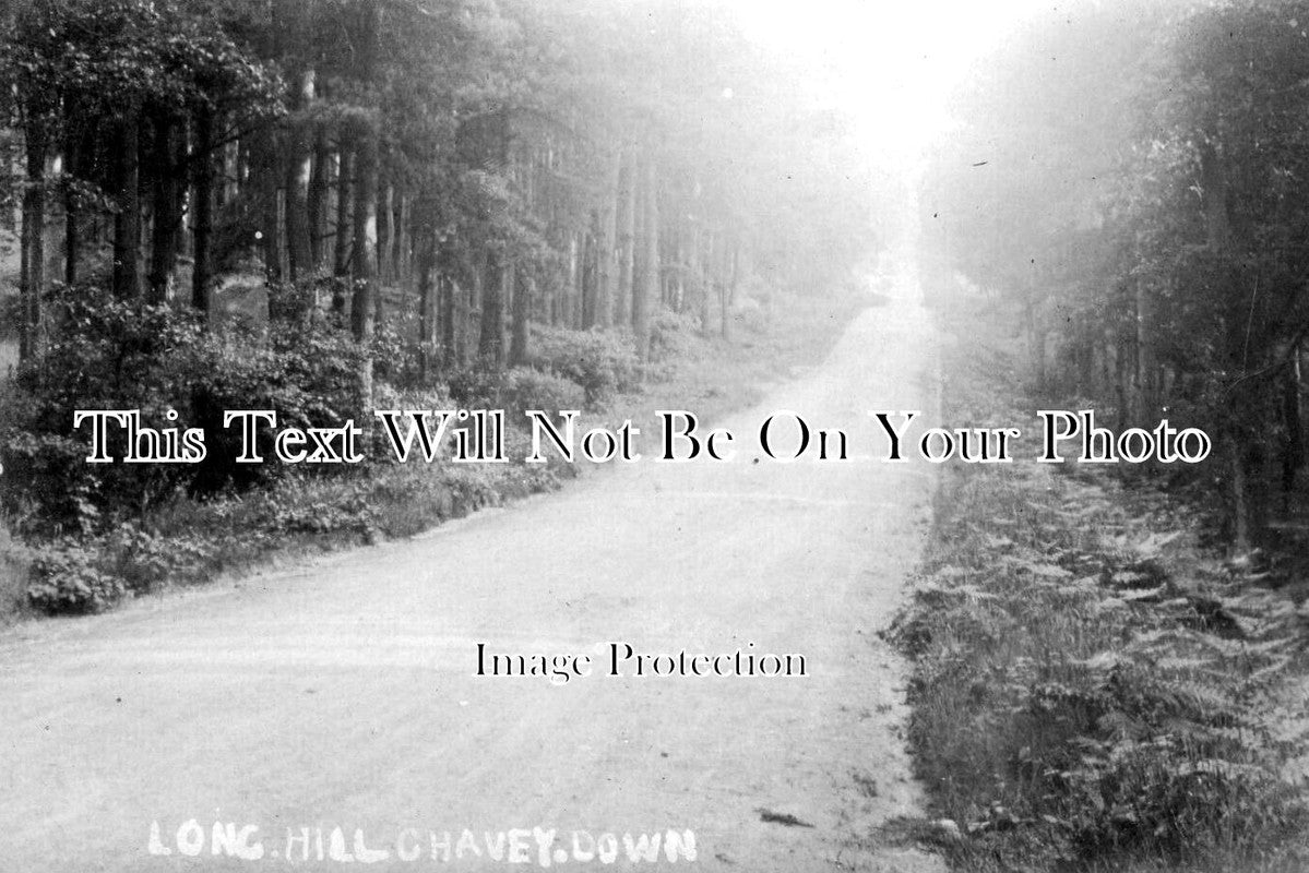 BK 1795 - Long Hill Chavey Down Near Ascot, Berkshire c1910