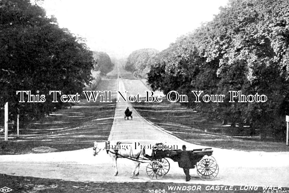 BK 2202 - The Long Walk, Windsor Castle, Berkshire c1904