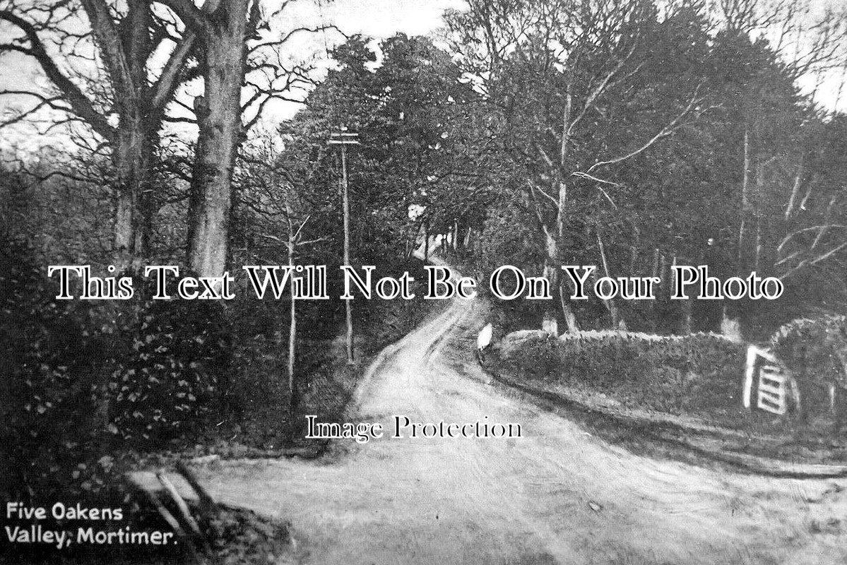 BK 2402 - Five Oakens Valley, Mortimer, Berkshire