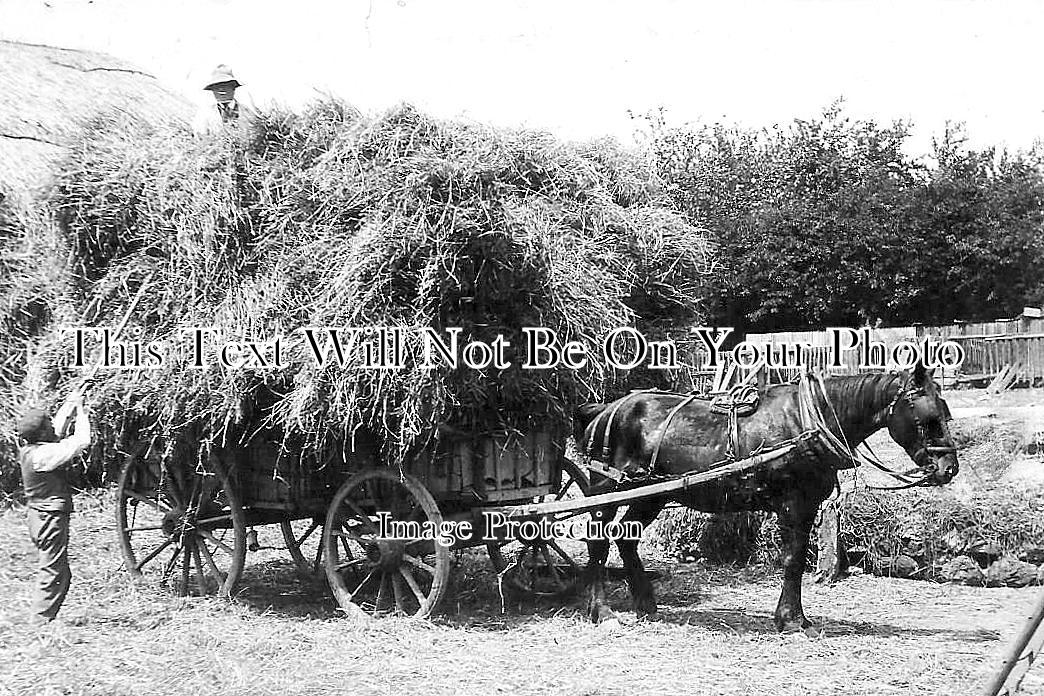 BK 2483 - Loading Hay, Farm Scene, Reading Area, Berkshire c1911
