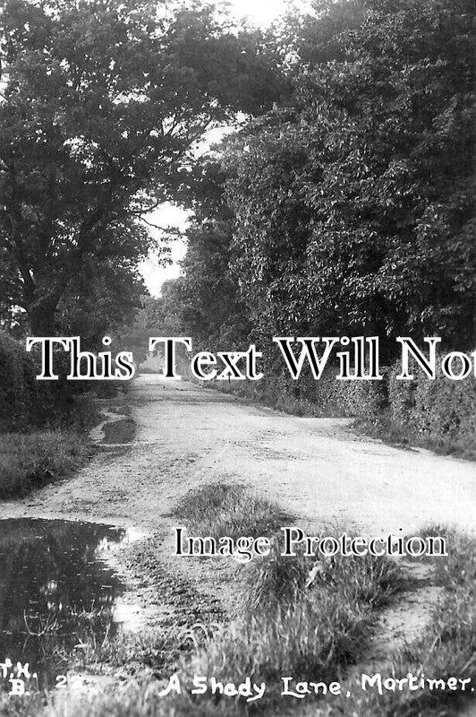 BK 2492 - A Shady Lane, Mortimer, Berkshire
