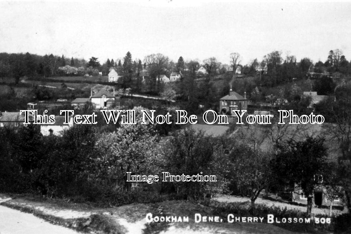 BK 278 - Cherry Blossom, Cookham Dene, Berkshire c1907