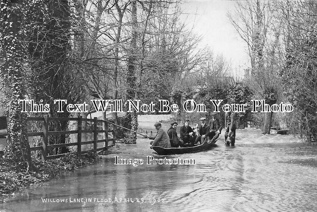 BK 580 - Willows Lane, Wargrave, Berkshire c1908