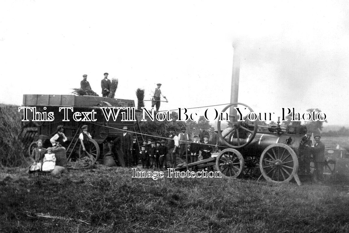 BU 1681 - Traction Engine Harvest Scene, Mursley, Buckinghamshire
