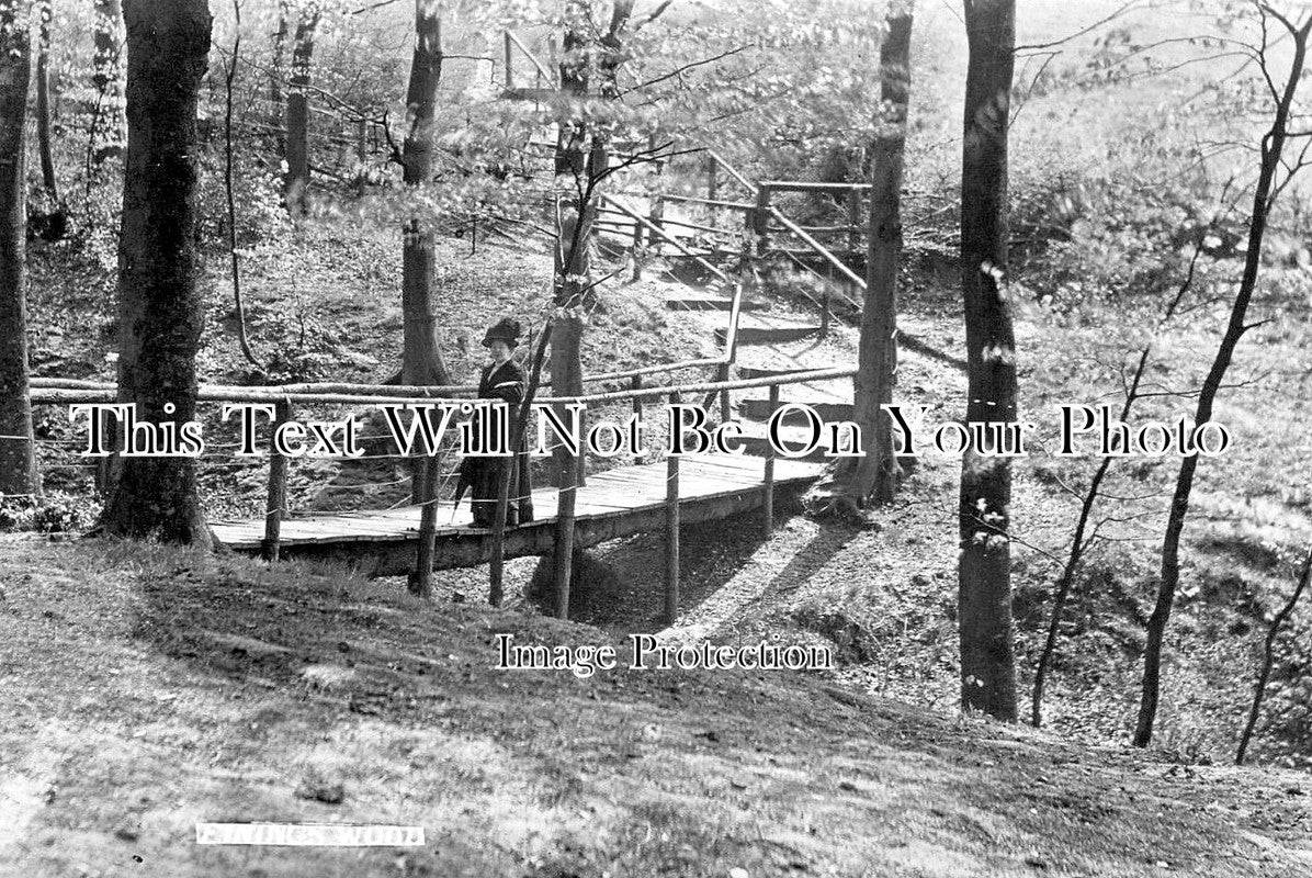 BU 2103 - Finings Wood, Lane End, High Wycombe, Buckinghamshire