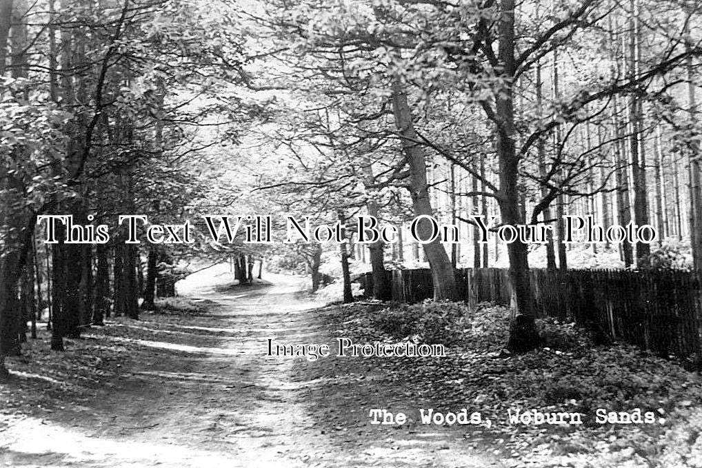 BU 2390 - Aspley Heath Woods, Woburn Sands, Buckinghamshire