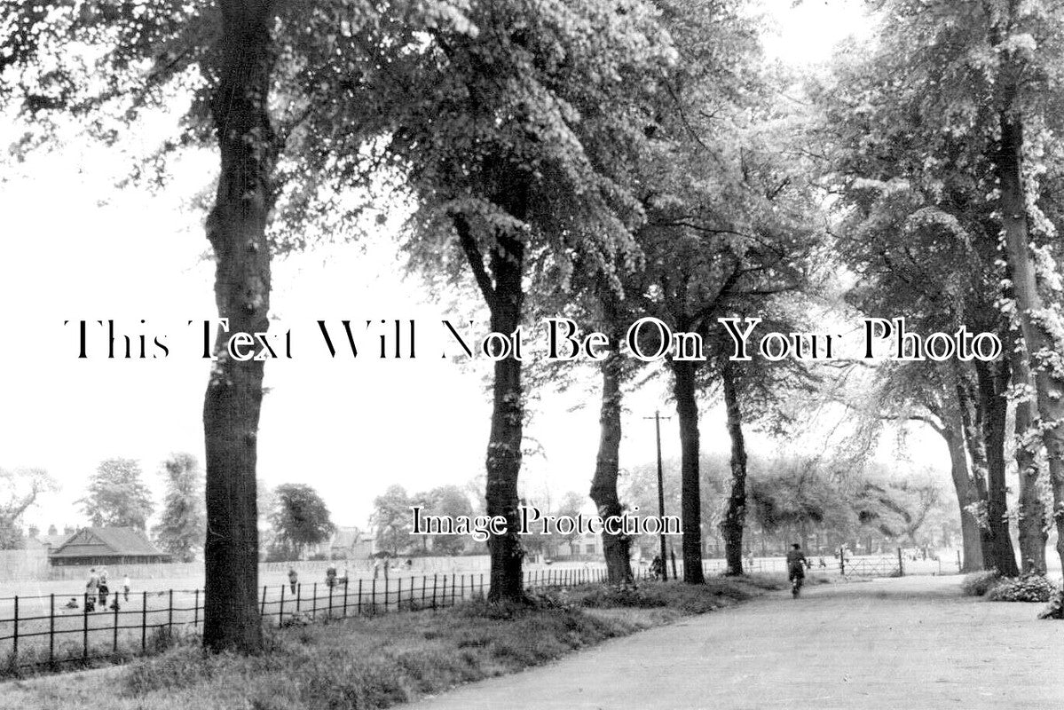 CA 1499 - Wisbech Park From Park Avenue, Cambridgeshire c1953