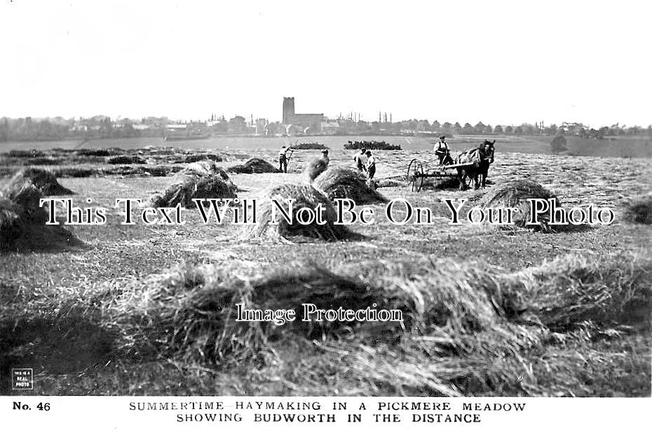 CH 1634 - Haymaking, Pickmere Meadow, Budworth, Cheshire