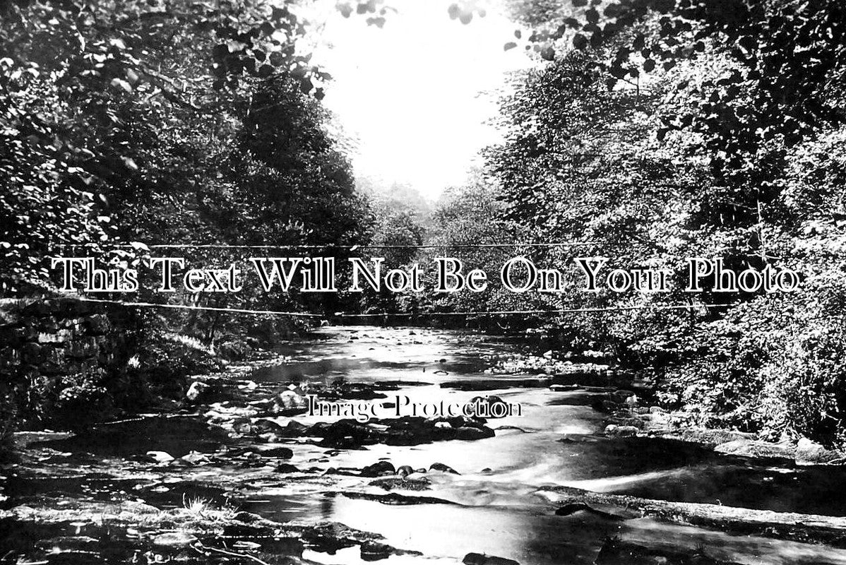 CH 1939 - Wire Bridge Over The Dane River, Cheshire