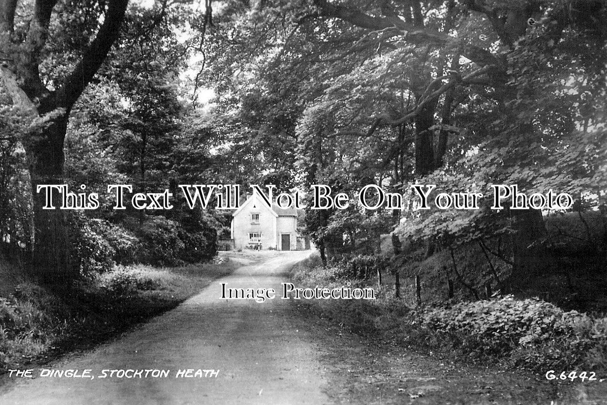 CH 3079 - The Dingle, Stockton Heath, Warrington, Cheshire c1948