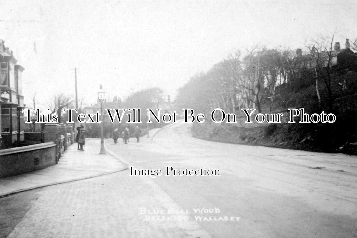 CH 322 - Bluebell Wood, Breck Rd, Wallasey, Cheshire c1909