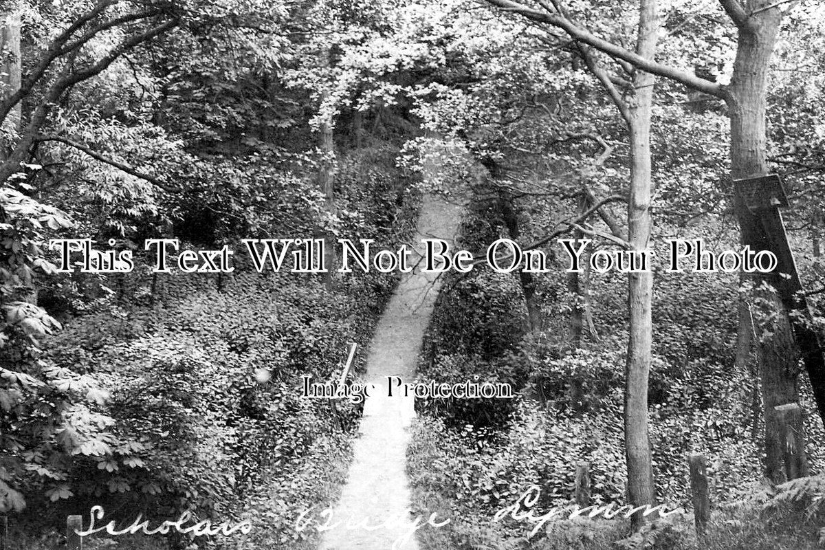 CH 3351 - Scholars Bridge, Lym, Cheshire c1906
