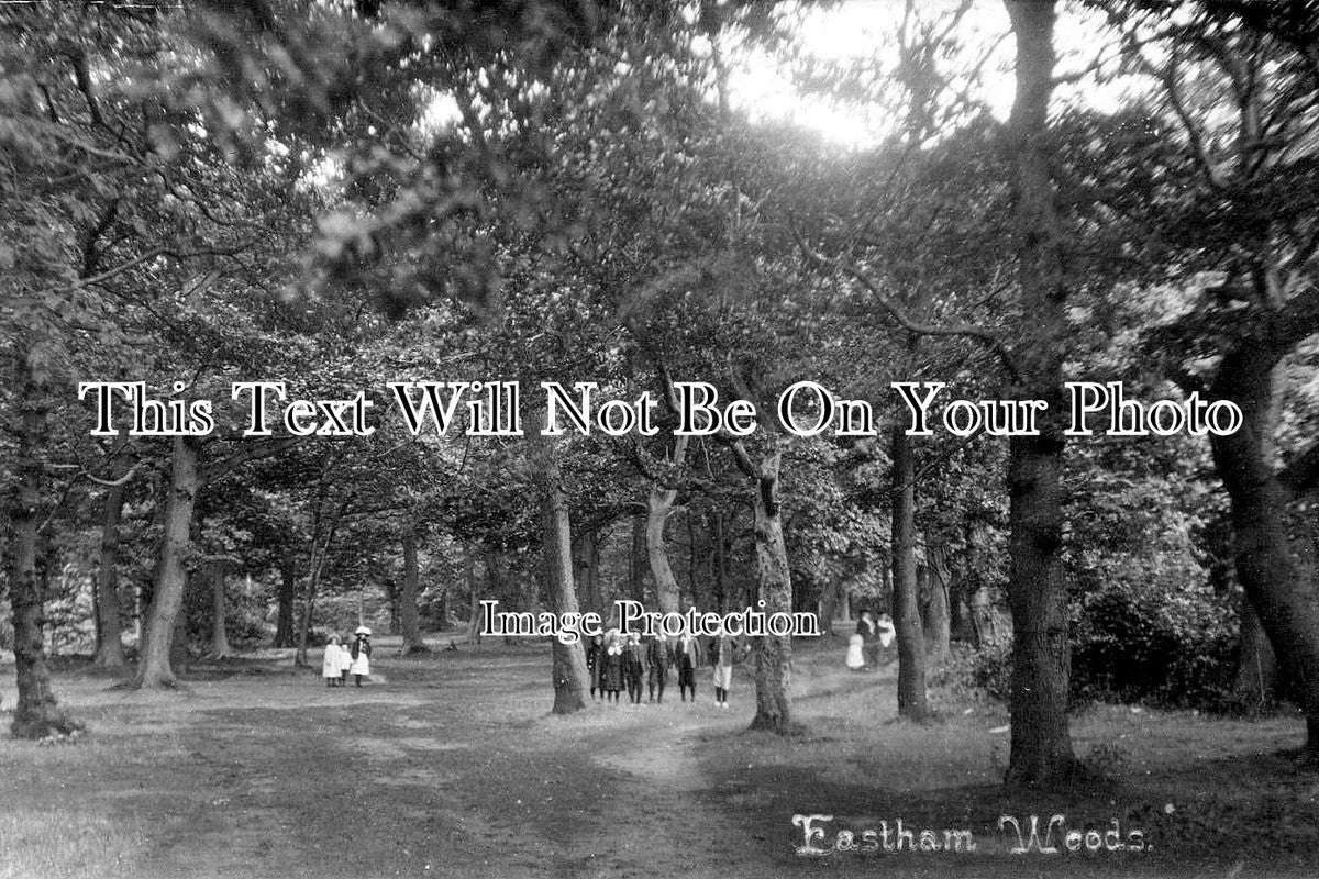 CH 3383 - Eastham Woods, Cheshire