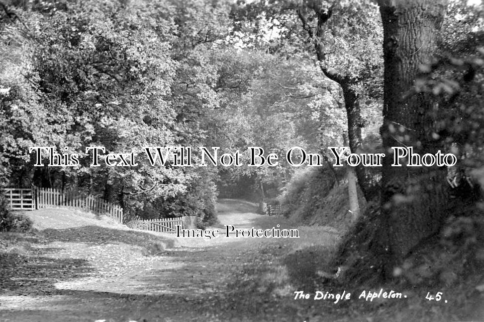 CH 945 - The Dingle, Appleton, Cheshire