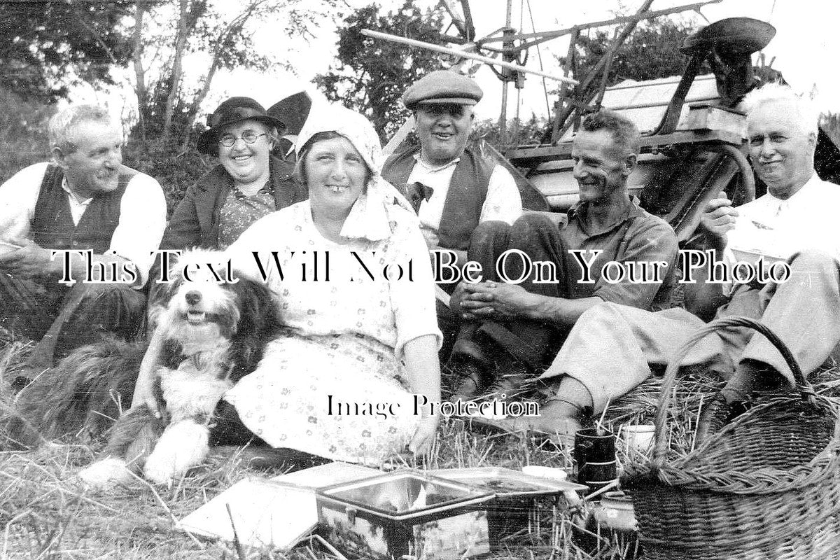 CO 2072 - Hayle Harvest, Cornwall c1935