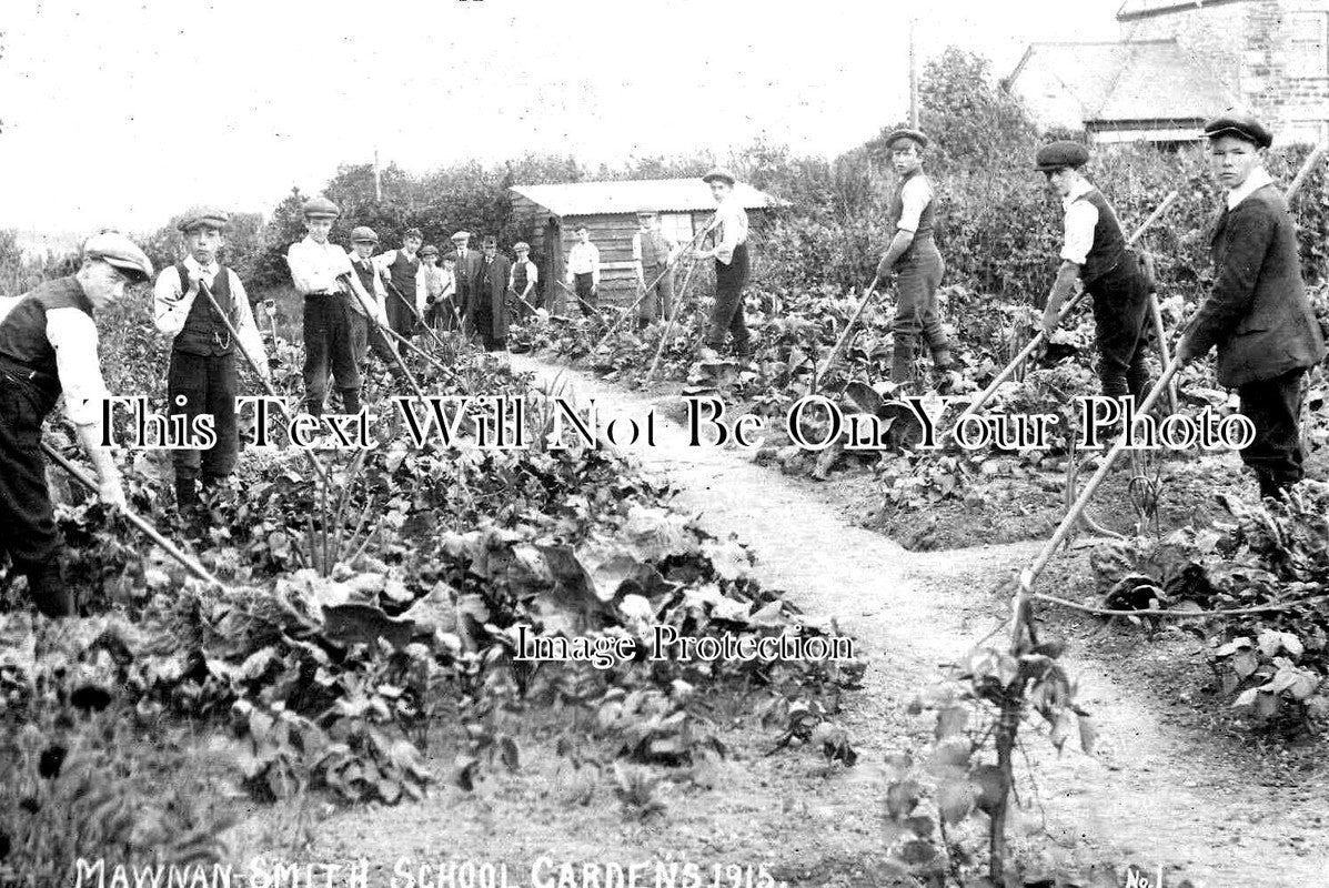 CO 2132 - Mawnan Smith School Gardens, Cornwall c1915