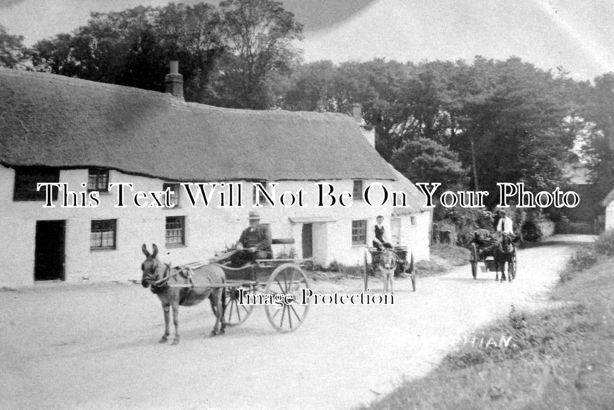 CO 219 - Trewithian, Cornwall