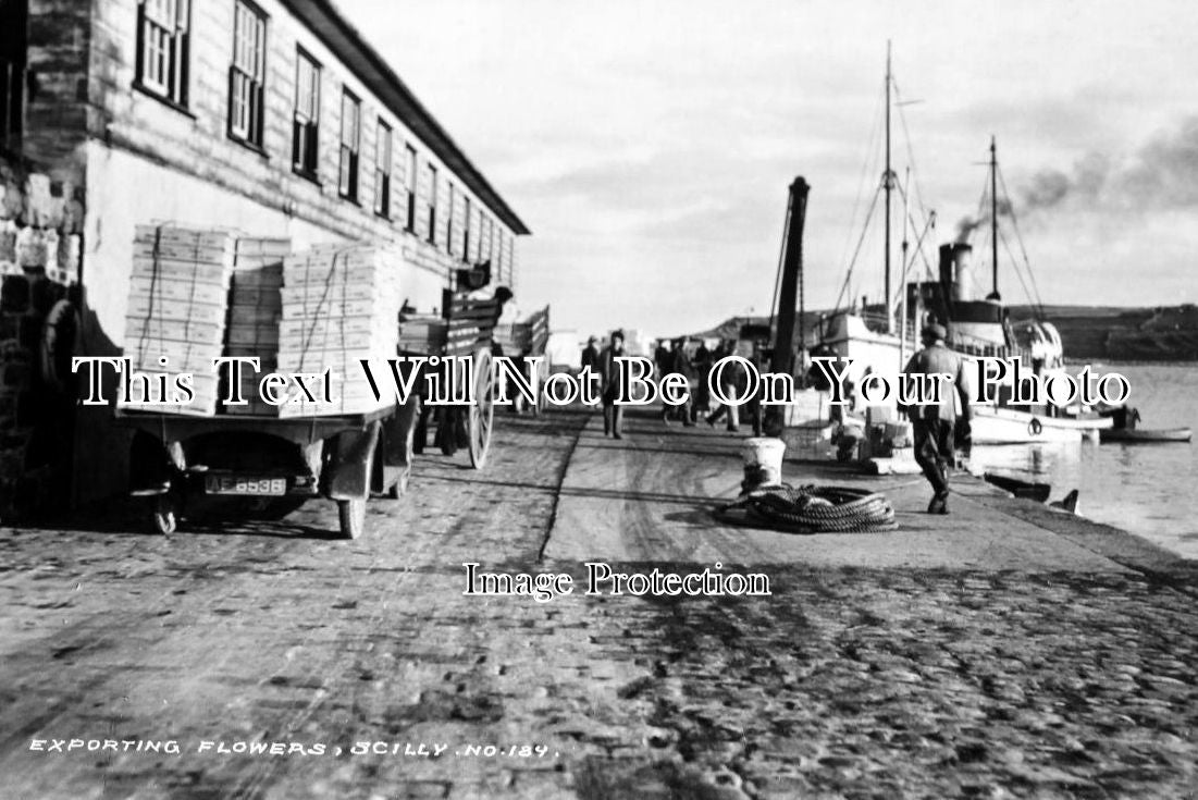 CO 228 - Exporting Flowers, St Marys, Scilly Isles, Cornwall