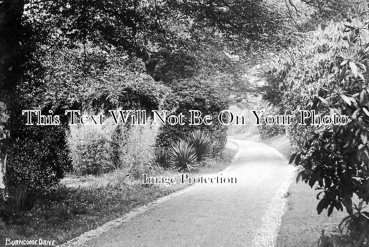 CO 2306 - Burncoose Drive, Ponsanooth, Lanner, Cornwall