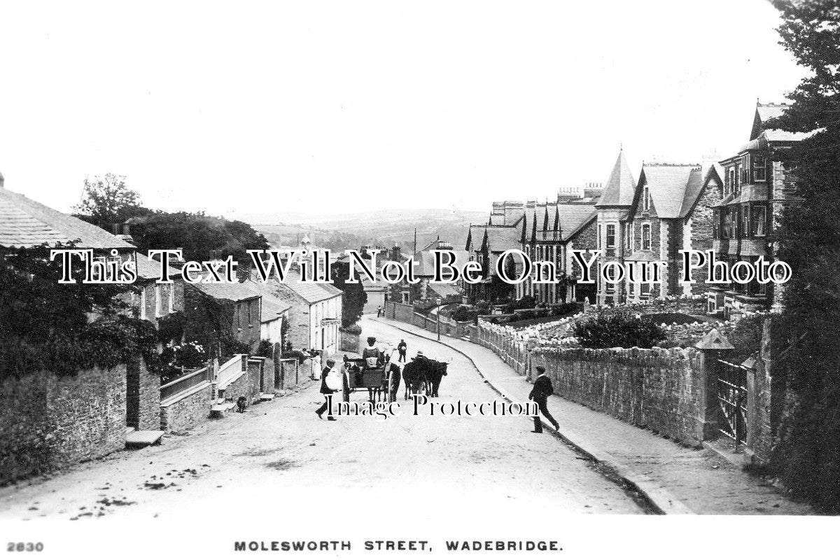 CO 2511 - Molesworth Street, Wadebridge, Cornwall c1910