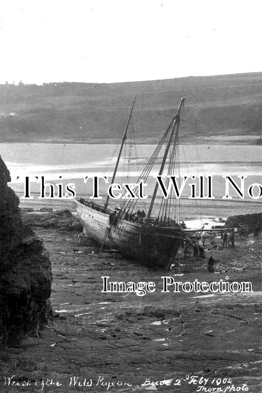 CO 2577 - Wild Pigeon Shipwreck, Bude, Cornwall 1904