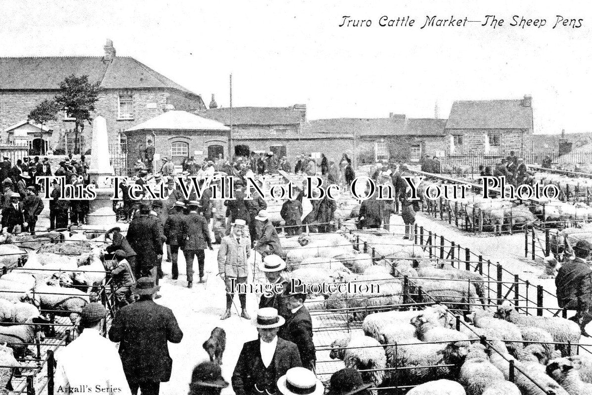 CO 2922 - Truro Cattle Market Sheep Pens, Cornwall