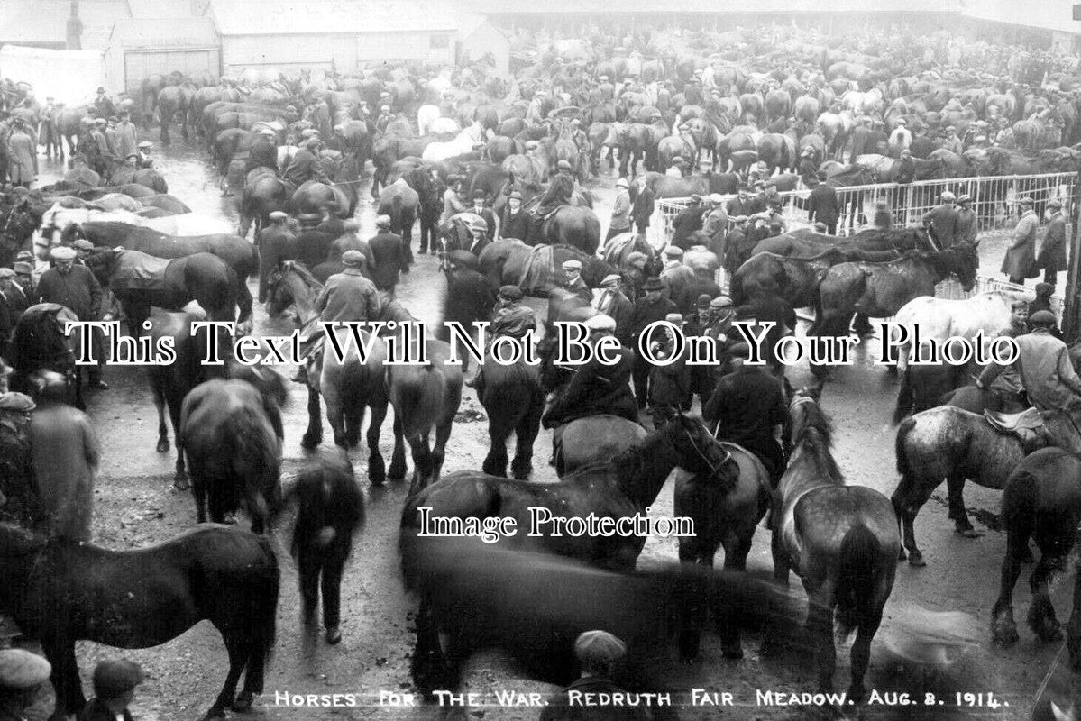 CO 3227 - Horses For The War, Redruth Fair, Cornwall WW1 1914