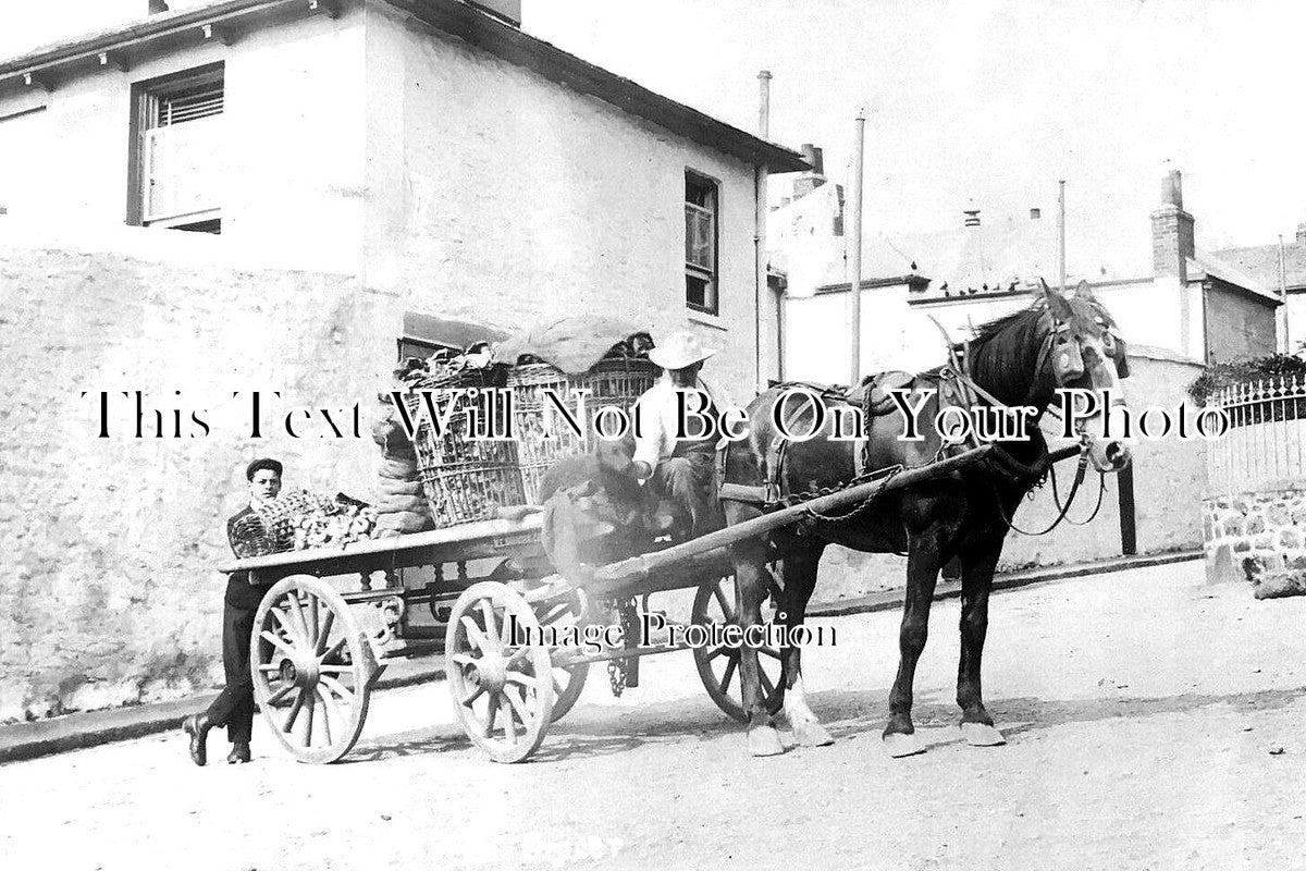 CO 3784 - ME Saundry Grocers Cart, Ludgvan, Cornwall c1912