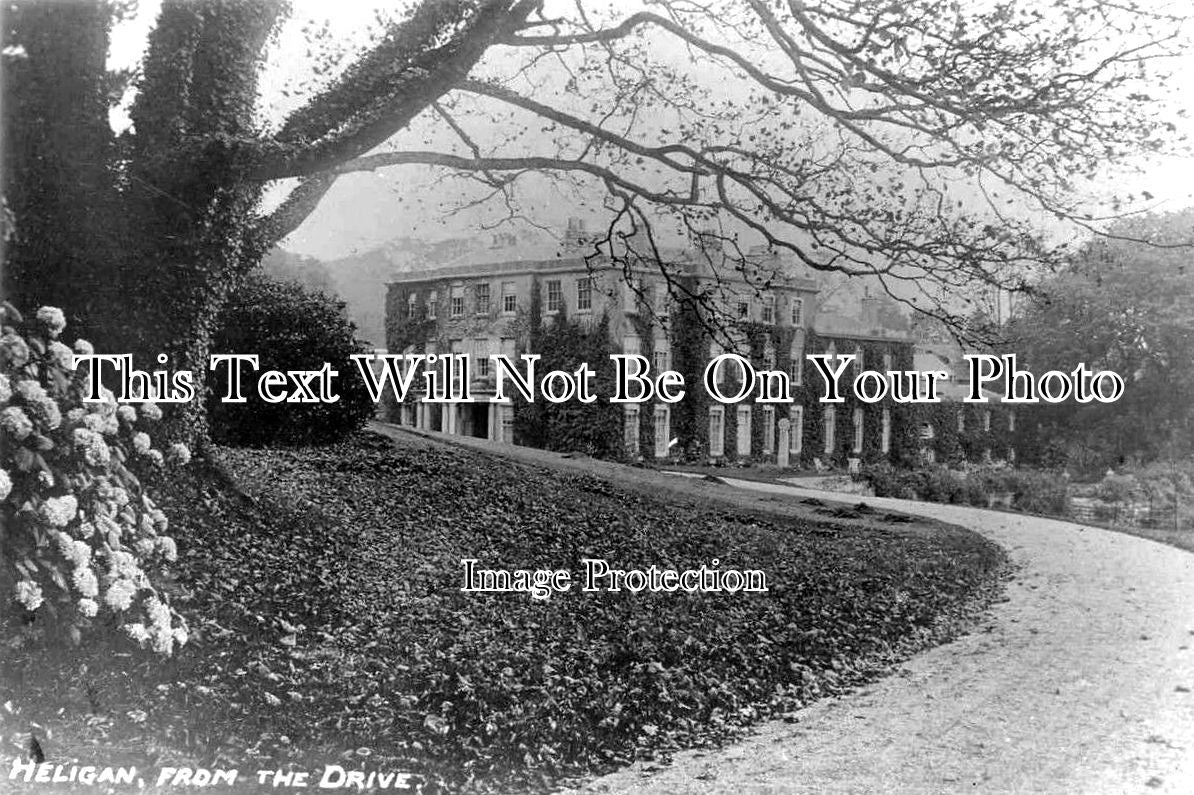 CO 440 - Heligan From The Drive, Cornwall