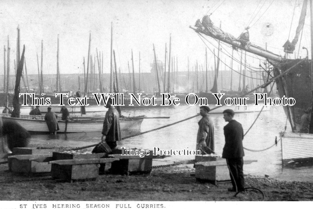CO 654 - Herring Season, St Ives, Cornwall