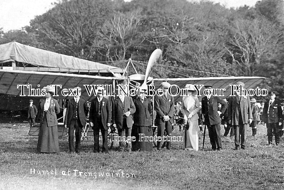 CO 780 - Hamel At Trengwainton, Cornwall