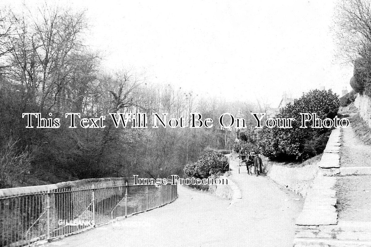 CU 1442 - Gill Banks, Ulverston, Cumbria c1910